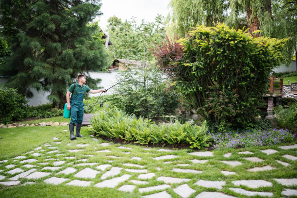Professional Pest Control in Brunswick, MD