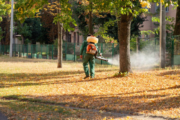 Best Flea Control Services  in Brunswick, MD