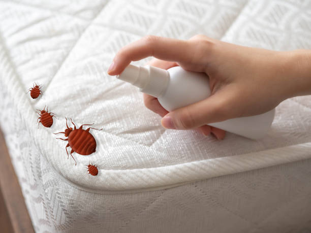 Best Best Pest Control Companies  in Brunswick, MD