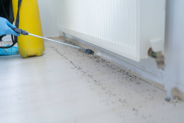 Best Commercial Pest Control Services  in Brunswick, MD