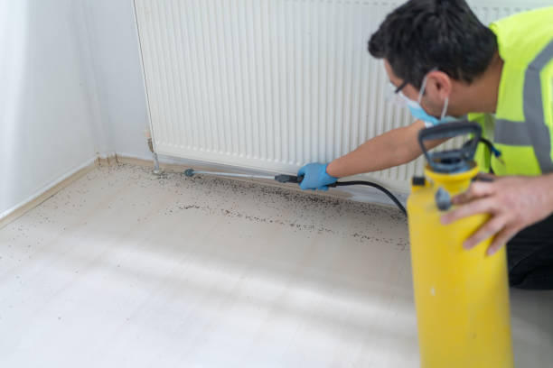 Best Cockroach Control Services  in Brunswick, MD